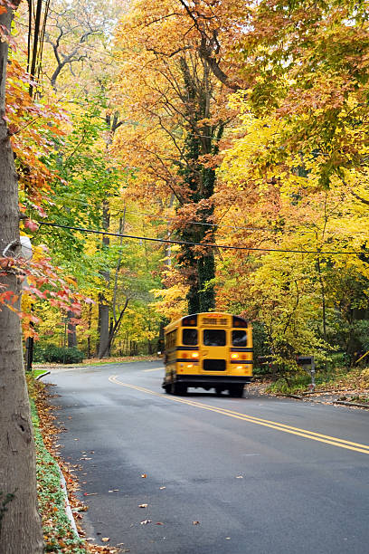 istock School bus on the road 173548440