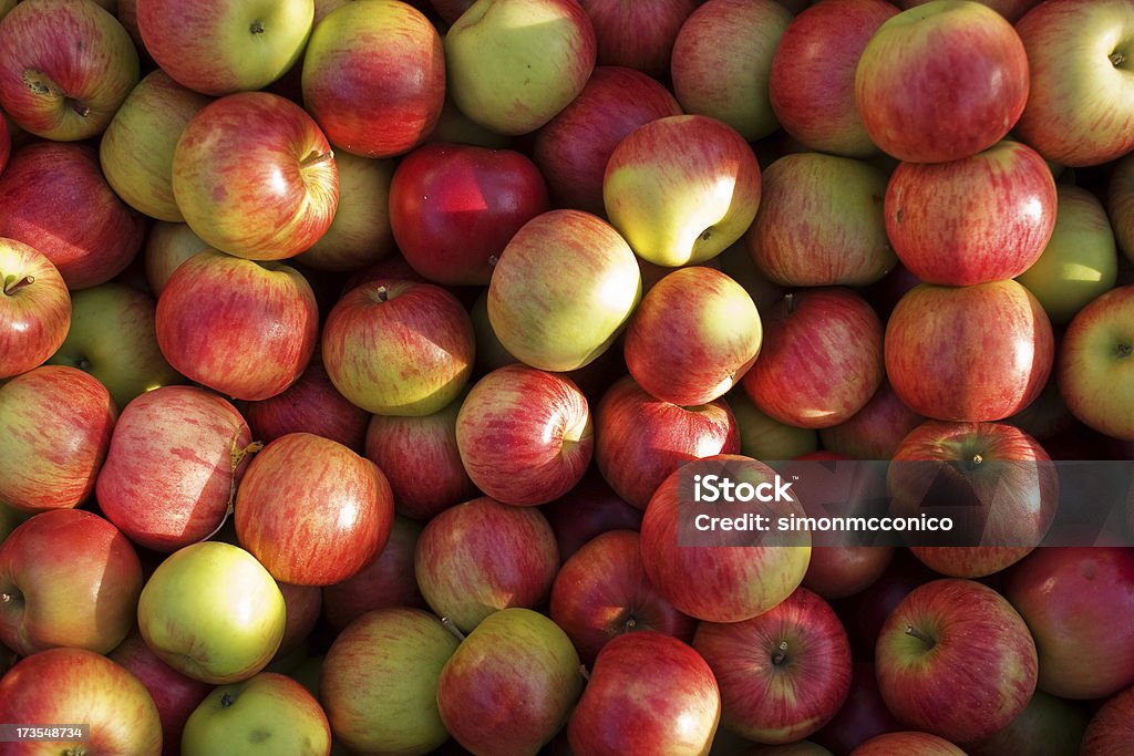 Manzanas - Foto de stock de Aire libre libre de derechos