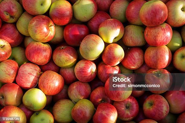 Manzanas Foto de stock y más banco de imágenes de Aire libre - Aire libre, Alimento, Comidas y bebidas