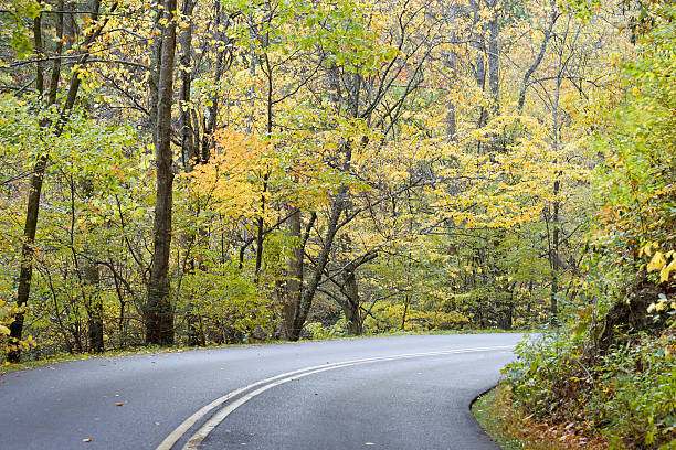 два lane осенний (xxl - gatlinburg road winding road tennessee стоковые фото и изображения