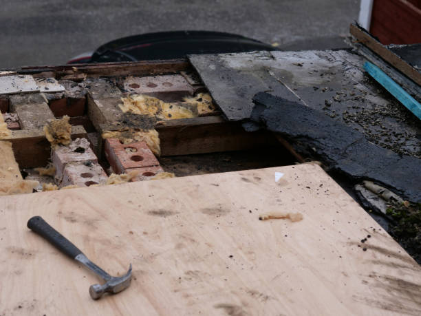istock Flat roof renovation close up 1735490991