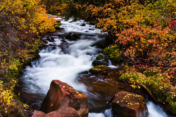 istock Tranquil Mountain Stream Autumn Scenic Landscape 1735491521