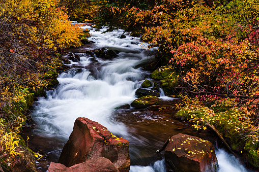 Tranquil Mountain Stream Autumn Scenic Landscape - Wilderness nature area with crystal clear pristine waters flowing softly through valley with colorful autumn hues and fall foliage. Tranquil zen-like healing nature.