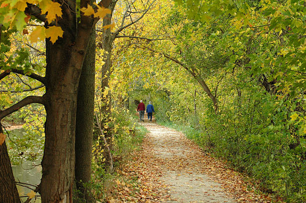 istock Out for a Walk in the Woods 2 173549163