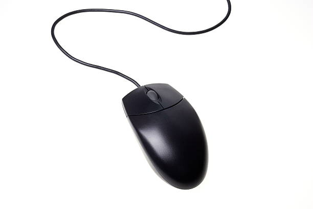 Preto Mouse - foto de acervo