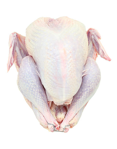 A raw large turkey for thanksgiving day dinner stock photo