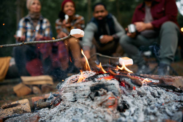 istock Close up of roasting marshmallows over bonfire on camping. 1735493644