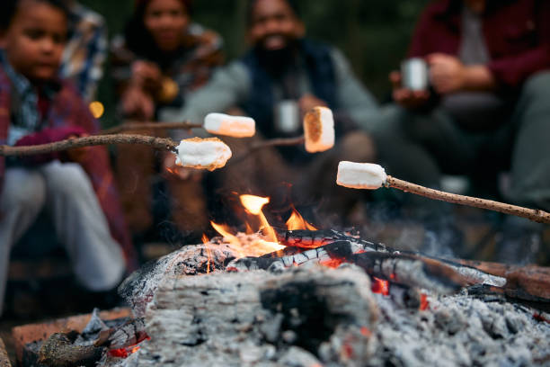 istock Close up of campers roasting marshmallows on campfire in nature. 1735493669