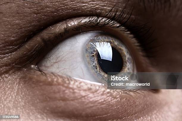 Tiro De Macro De Ojo Gris Hombre Foto de stock y más banco de imágenes de Actitud - Actitud, Adulto, Alerta