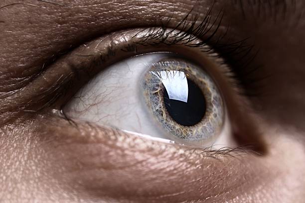istock Macro shot of grey man's eye 173549586