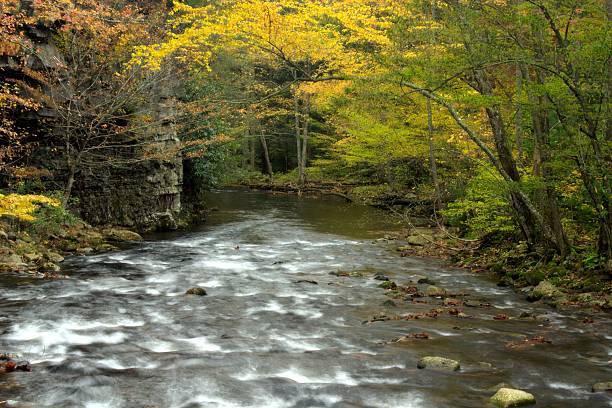 istock Autumn View Of Beaverdam Creek 173549592