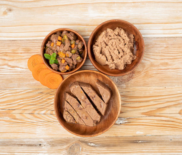 Pet Food, Wet Food for Cats, Dog Canned Pate, Soft Pet Food on White Pet Food on Wooden Floor Background, Wet Food for Cats in Wood Bowl with Carrots, Dog Canned Pate, Soft Pet Food on White Background wet wood texture stock pictures, royalty-free photos & images