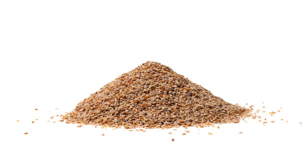istock Plantago Ovata Seeds Isolated, Psyllium Husk, Isabgol Ispaghula 1735498213