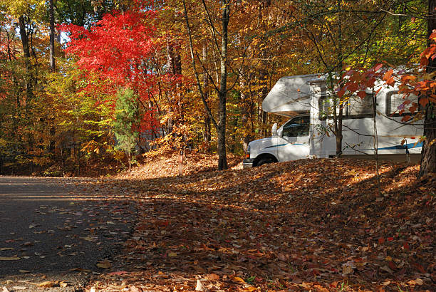 istock Camper in wooded campground 173549844