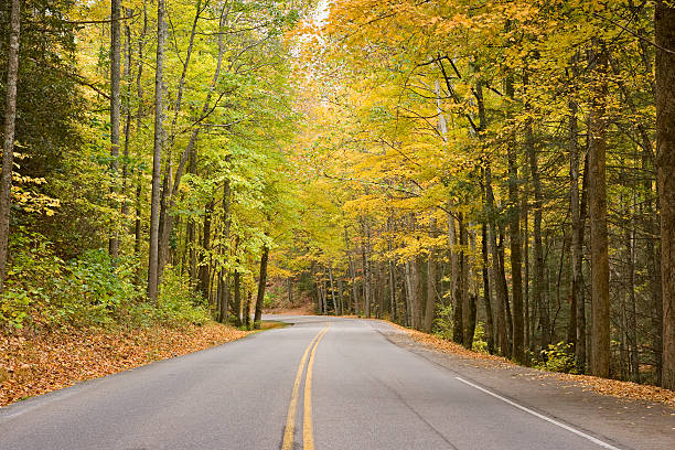 "smoky góra jesień drogi serii (xxl)" - gatlinburg road winding road tennessee zdjęcia i obrazy z banku zdjęć