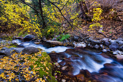 Autumn Fall Colors Along Scenic Creek in Canyon - Flowing water and colorful fall foliage during autumn. Tranquil scenic landscape in wilderness area.