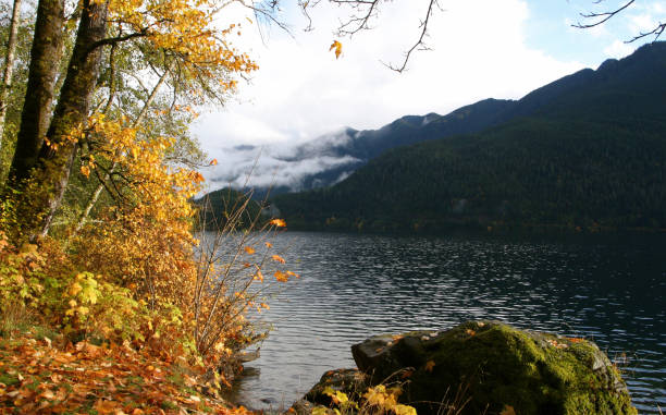 istock Late Autumn Scene at the Lake 173550382
