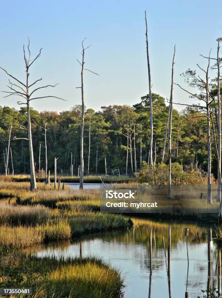 Beauty Of First Landing Stock Photo - Download Image Now - State Park, Virginia Beach, Blue