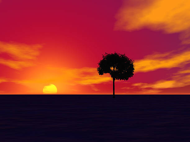 Spectaculaire coucher de soleil rouge avec arbre - Photo