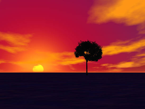 Dramático vermelho pôr do sol com árvore - foto de acervo