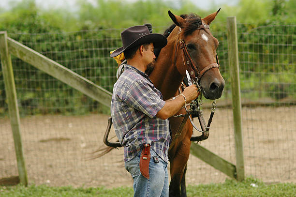 istock cowboy and horse 173551074