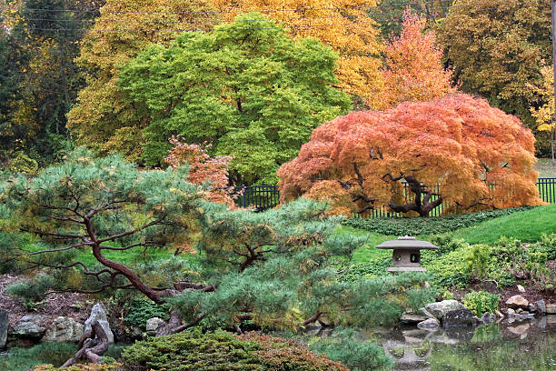 istock Multicolored Japanese garden in Philadelphia 173551125