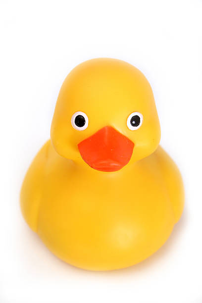 Just Ducky 4 stock photo