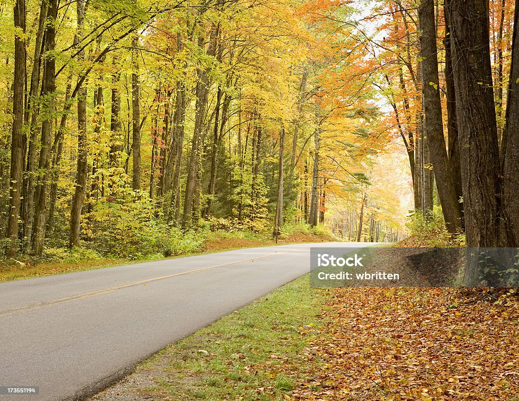 Smoky Mountain Herbst Straßen Series - Lizenzfrei Asphalt Stock-Foto