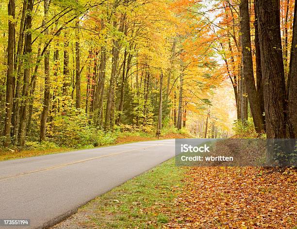 Smoky Mountain Herbst Straßen Series Stockfoto und mehr Bilder von Asphalt - Asphalt, Autoreise, Baum