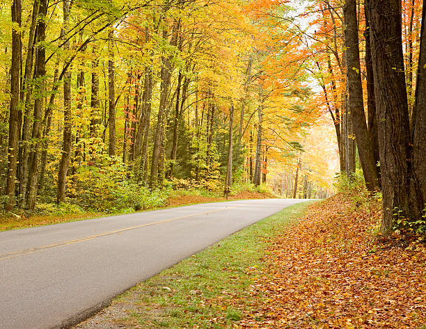 istock Smoky Mountain Autumn Roads Series 173551194