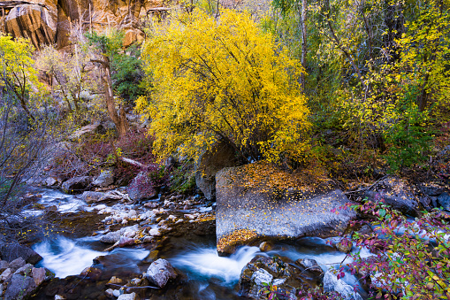 A beautiful clear shot of the narrows at Zion.