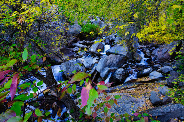 istock Autumn Fall Colors Along Scenic Creek in Canyon 1735518683