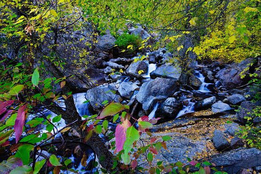 Autumn Fall Colors Along Scenic Creek in Canyon - Flowing water and colorful fall foliage during autumn. Tranquil scenic landscape in wilderness area.
