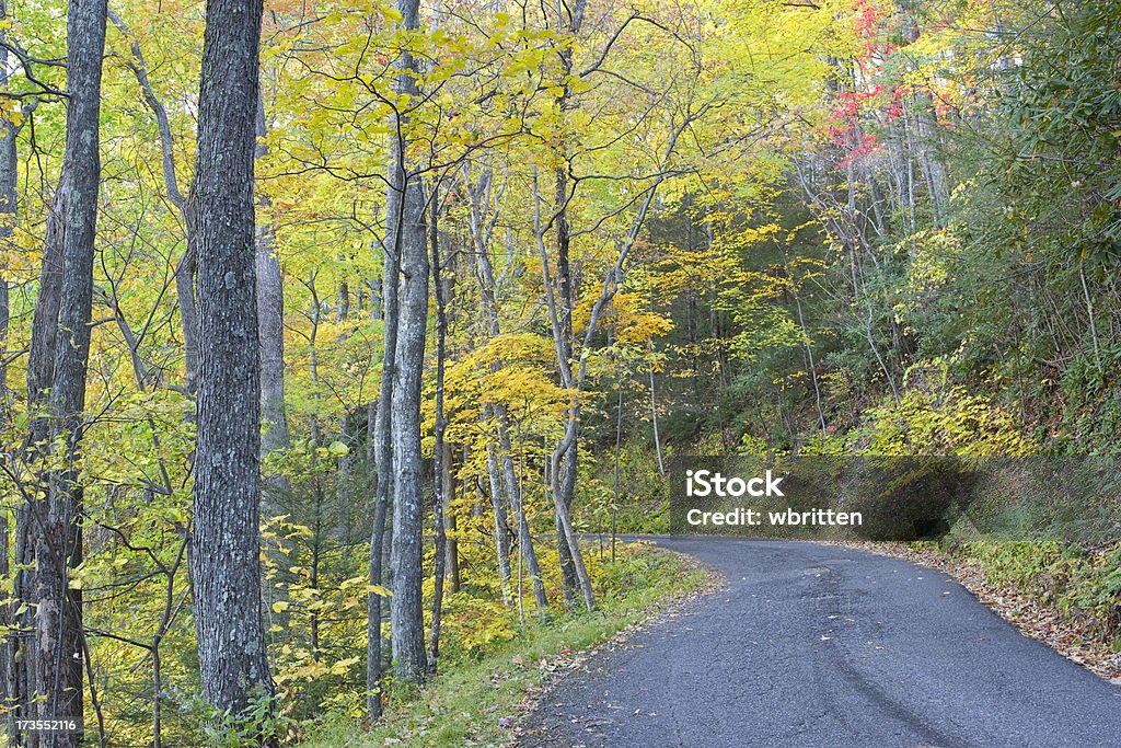 Smoky Mountain Autumn Roads Series (XXL) Lonely road with dazzling fall colors in the Smoky Mountains. Asphalt Stock Photo