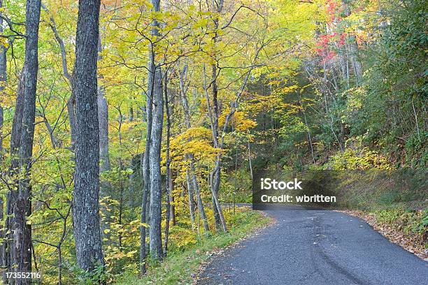 Smoky Mountain Autumn Roads Series Stock Photo - Download Image Now - Asphalt, Autumn, Autumn Leaf Color