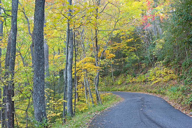 дымчатый горы осенью дорог series (xxl - gatlinburg road winding road tennessee стоковые фото и изображения