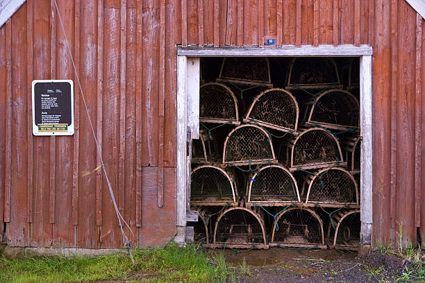 istock Pile of lobster traps in a hut 173552454