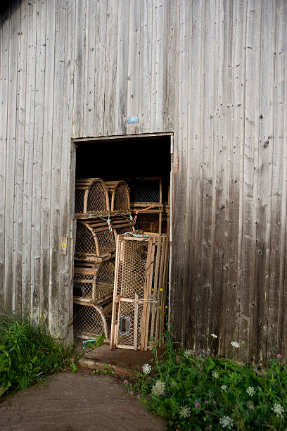 istock Pile of lobster traps in a hut 173552455