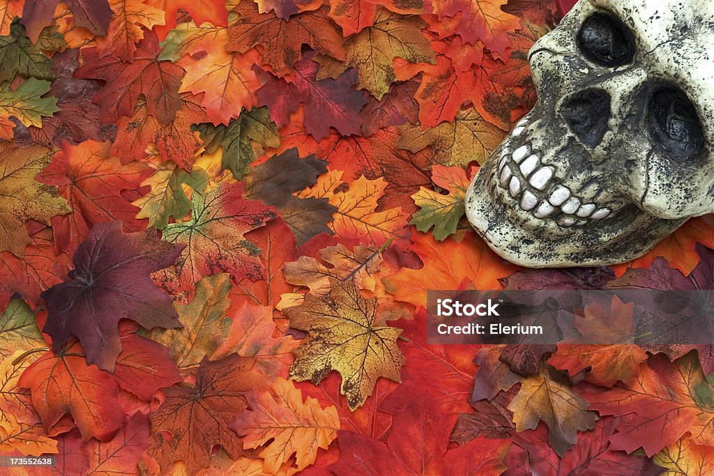 Schädel auf Herbst Blätter (Boo! - Lizenzfrei Abschied Stock-Foto