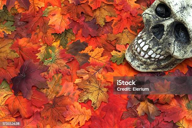 Schädel Auf Herbst Blätter Boo Stockfoto und mehr Bilder von Abschied - Abschied, Angst, August