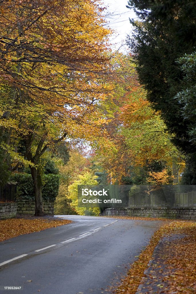Autumn leaves "Suburban road in Autumn / Fall. Location is Altrincham, Cheshire, UK." Autumn Stock Photo