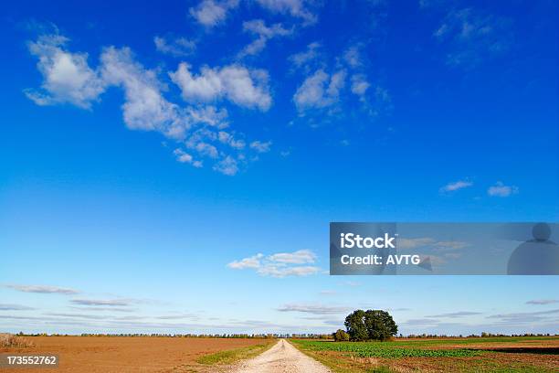 Estrada Em Terra Batida Através De Campos De Exploração Sob Céu Azul No Outono - Fotografias de stock e mais imagens de Agricultura