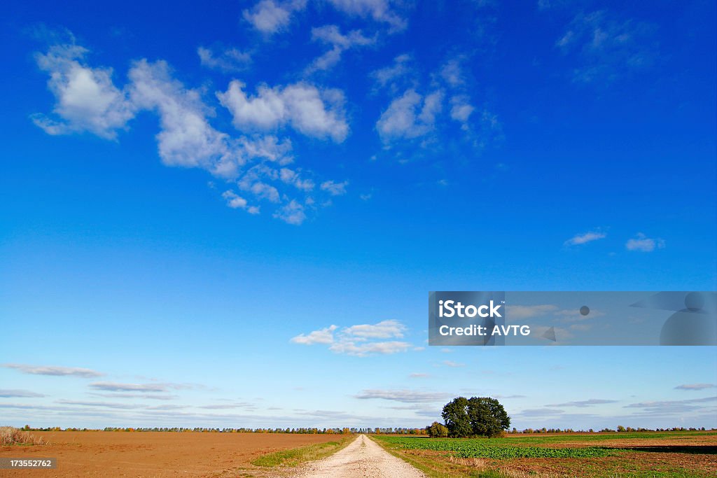 Грунтовая дорога в полях под голубое небо ферме осенью - Стоковые фото Без людей роялти-фри