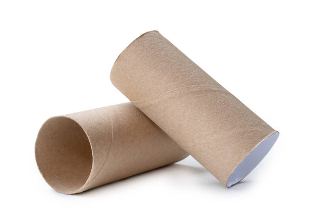 istock Short tissue paper cores in stack isolated on white background with clipping path 1735532240