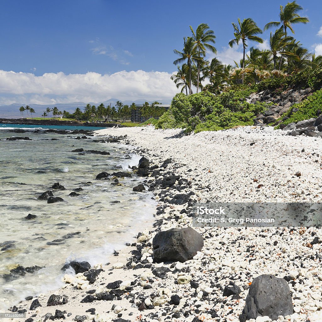 Hawaiian Beach - Lizenzfrei Big Island - Insel Hawaii Stock-Foto