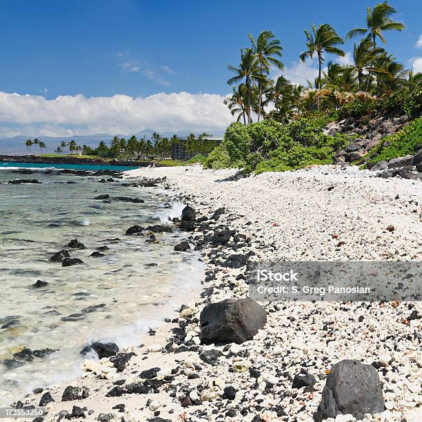 Hawaiian Beach Stockfoto und mehr Bilder von Big Island - Insel Hawaii - Big Island - Insel Hawaii, Hawaii - Inselgruppe, Strand