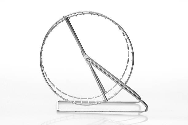 steel exercise wheel for small pet