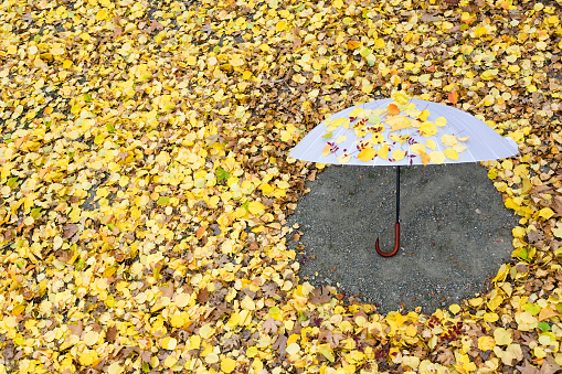 white umbrella with yellow leaves
