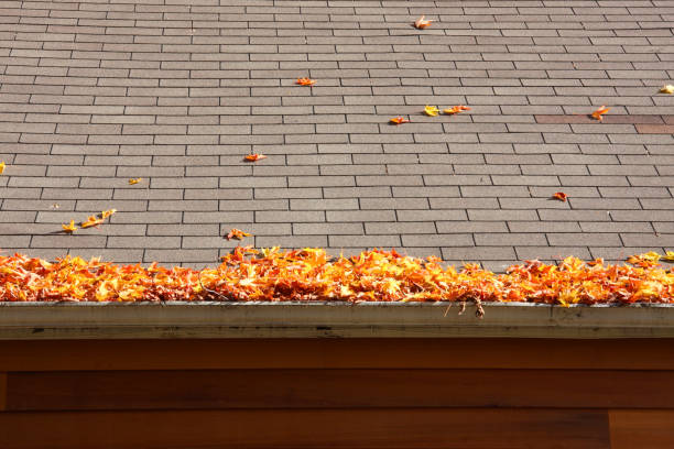 Leaves on a Roof stock photo