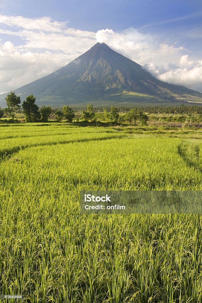 Perfetta Vulcano e piantagioni di riso - Foto stock royalty-free di Filippine